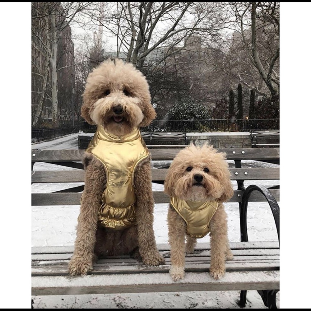 New Gold fabdog DOG puffer coat Sz. 22”